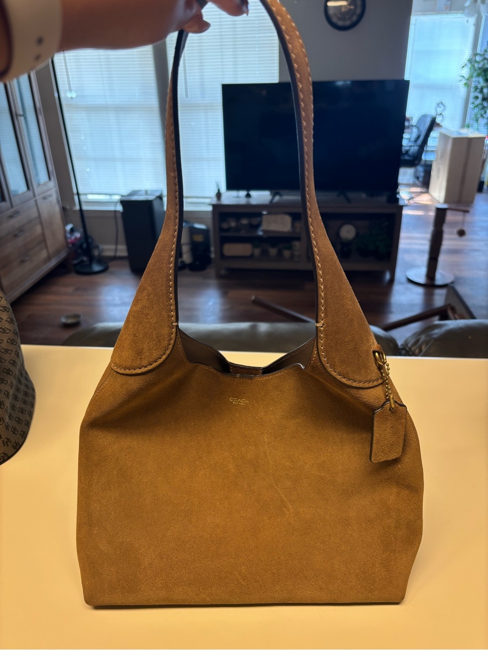 Coach Brooklyn Suede Shoulder Bag